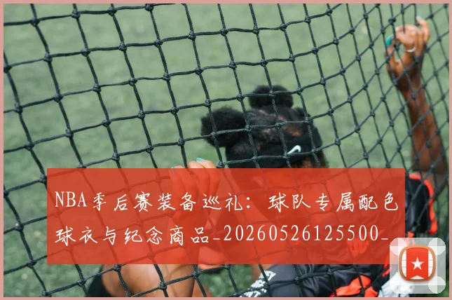 NBA季后赛装备巡礼：球队专属配色球衣与纪念商品_20260526125500_20260702164742